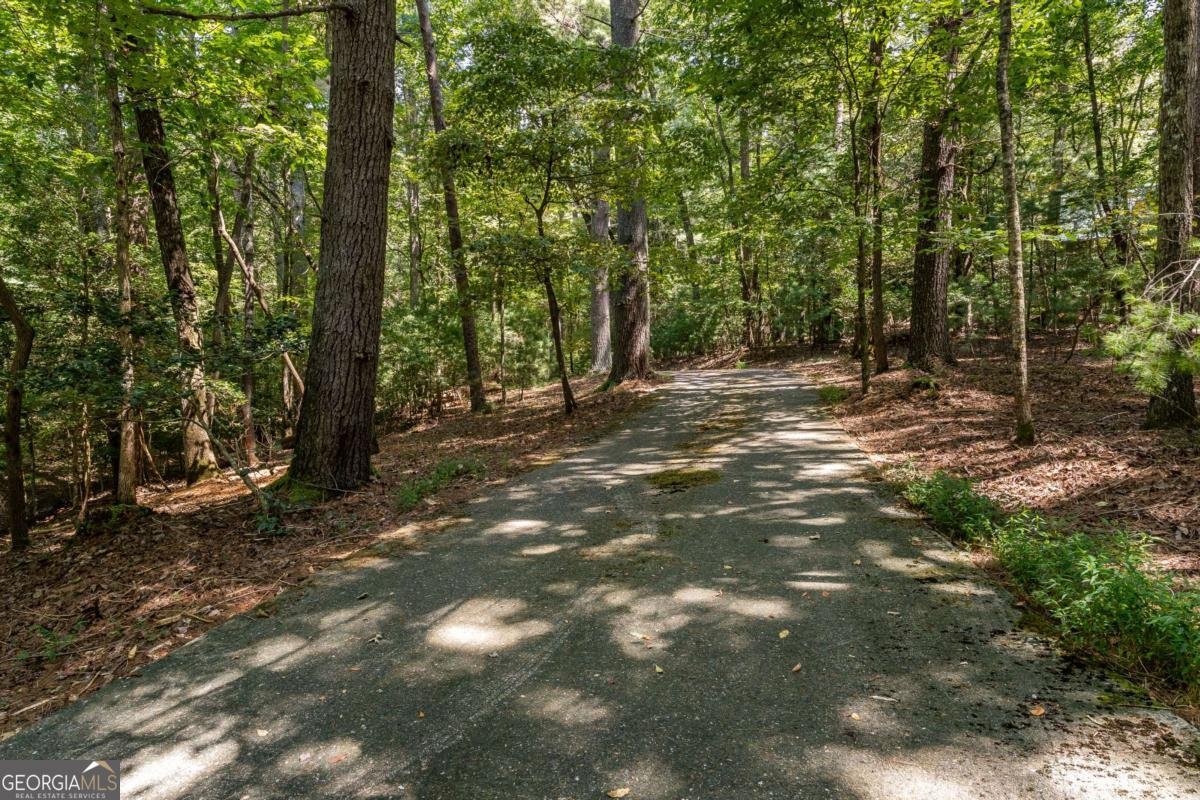 263 Indian Cave Road Ellijay - 43