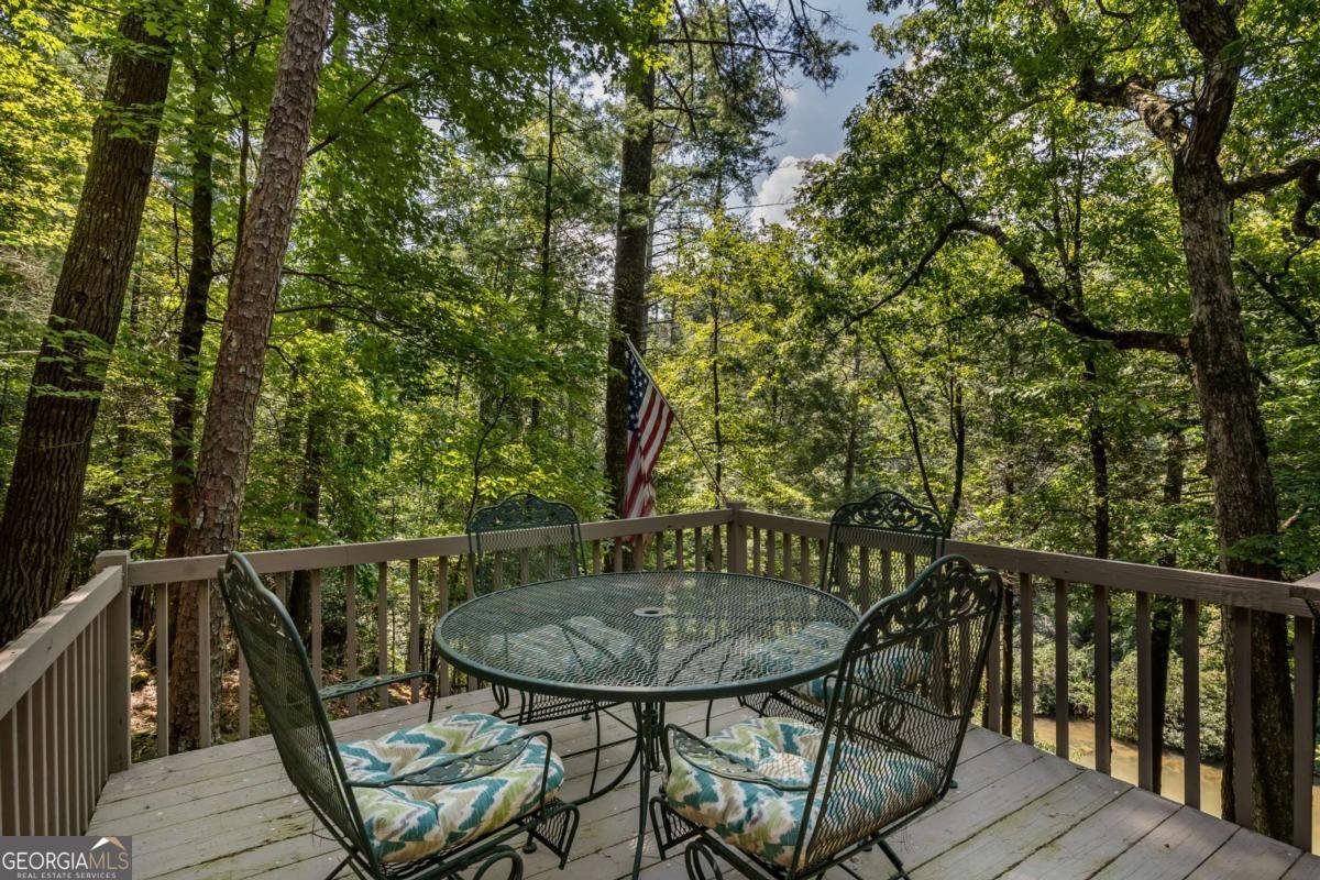 263 Indian Cave Road Ellijay - 44