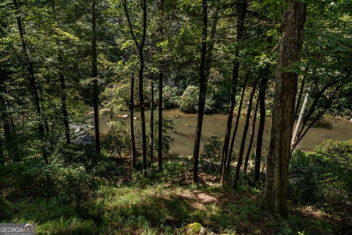 263 Indian Cave Road Ellijay - 45