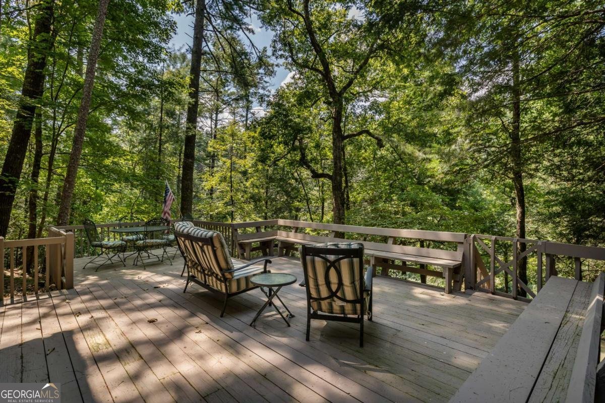263 Indian Cave Road Ellijay - 49