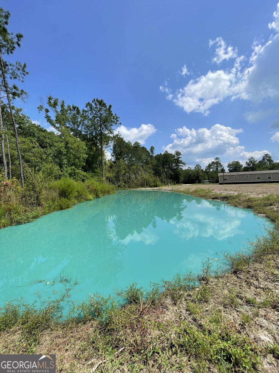 13929 Raybon Road Nahunta - 10