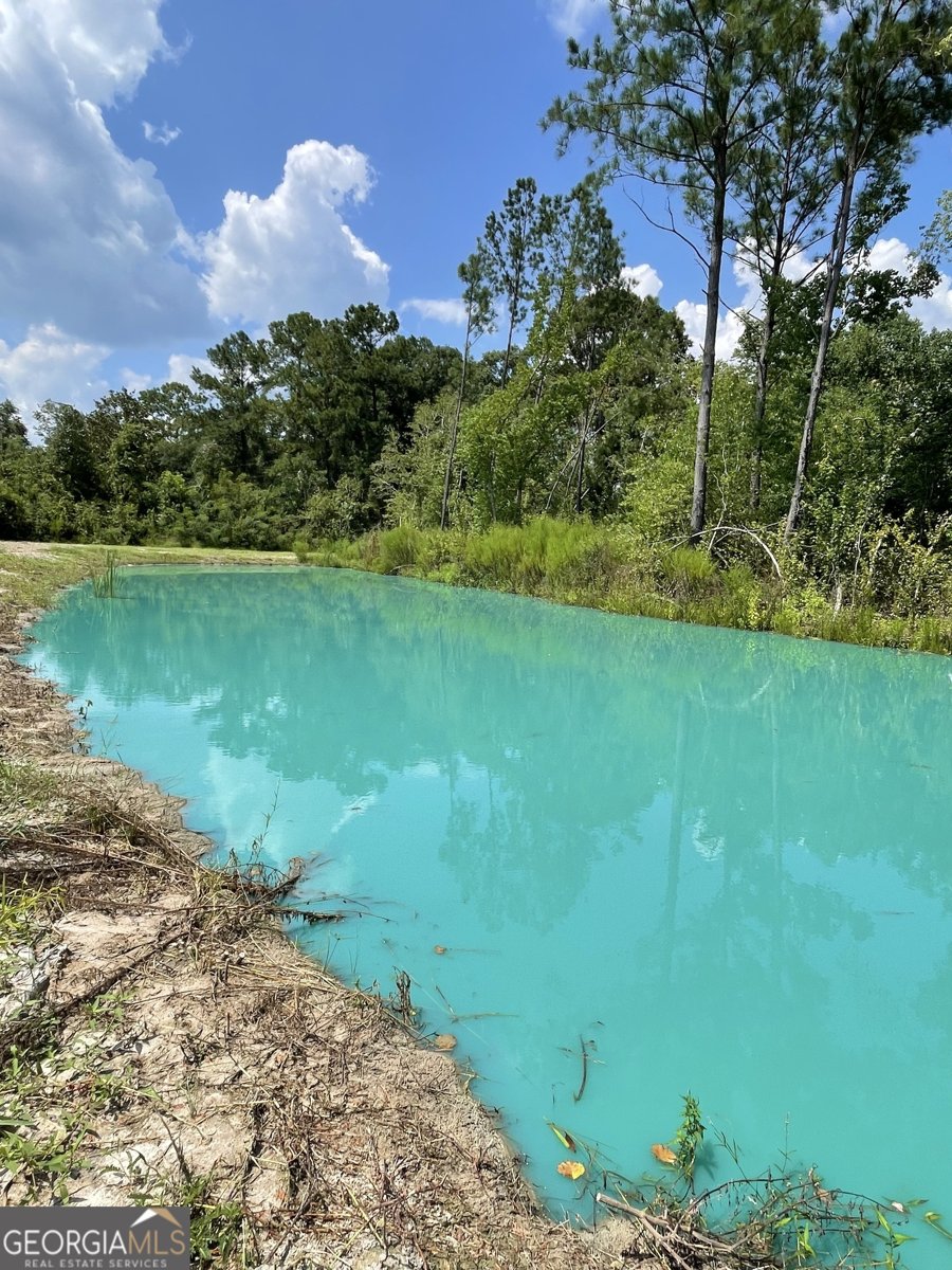 13929 Raybon Road Nahunta - 34