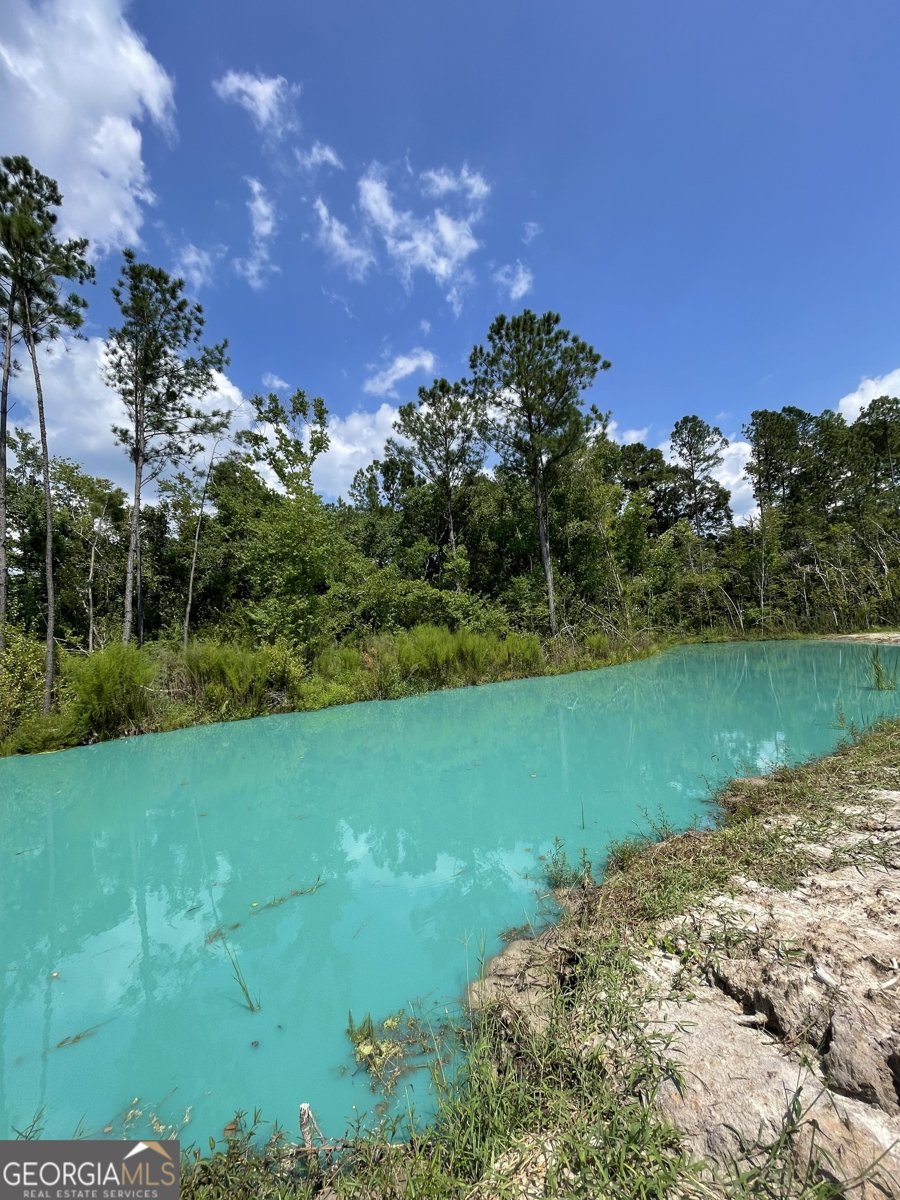 13929 Raybon Road Nahunta - 6