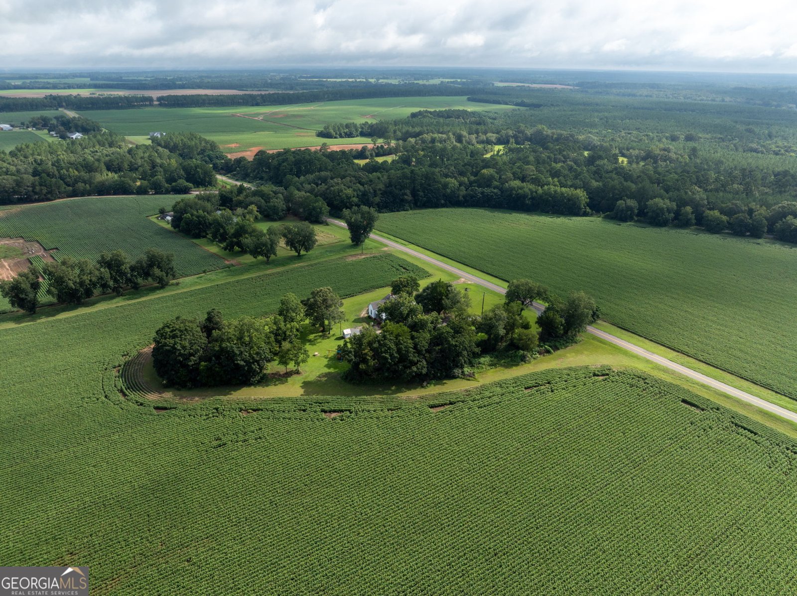 7890 Poplar Springs Road Byromville - 1