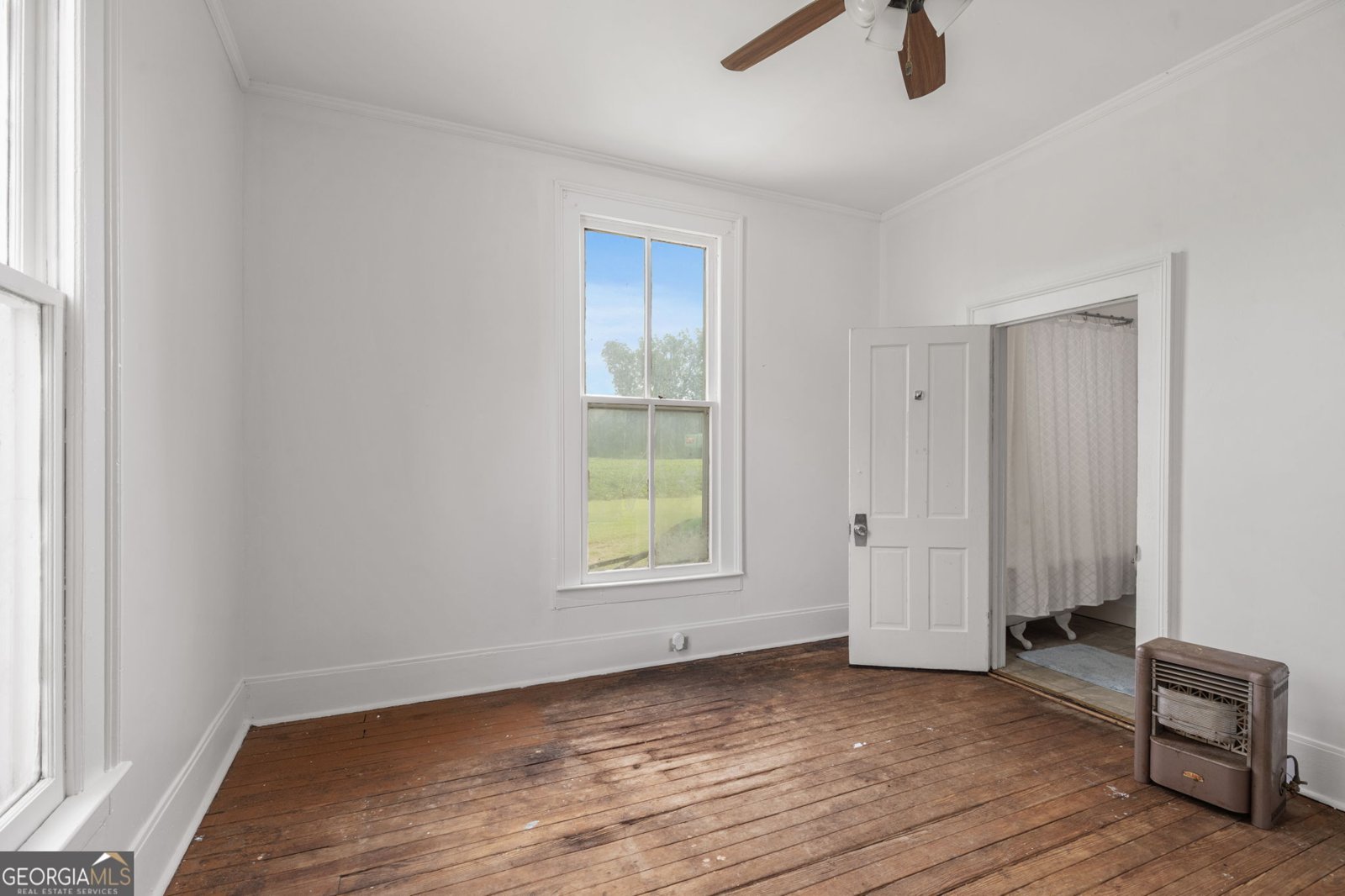 7890 Poplar Springs Road Byromville - 28