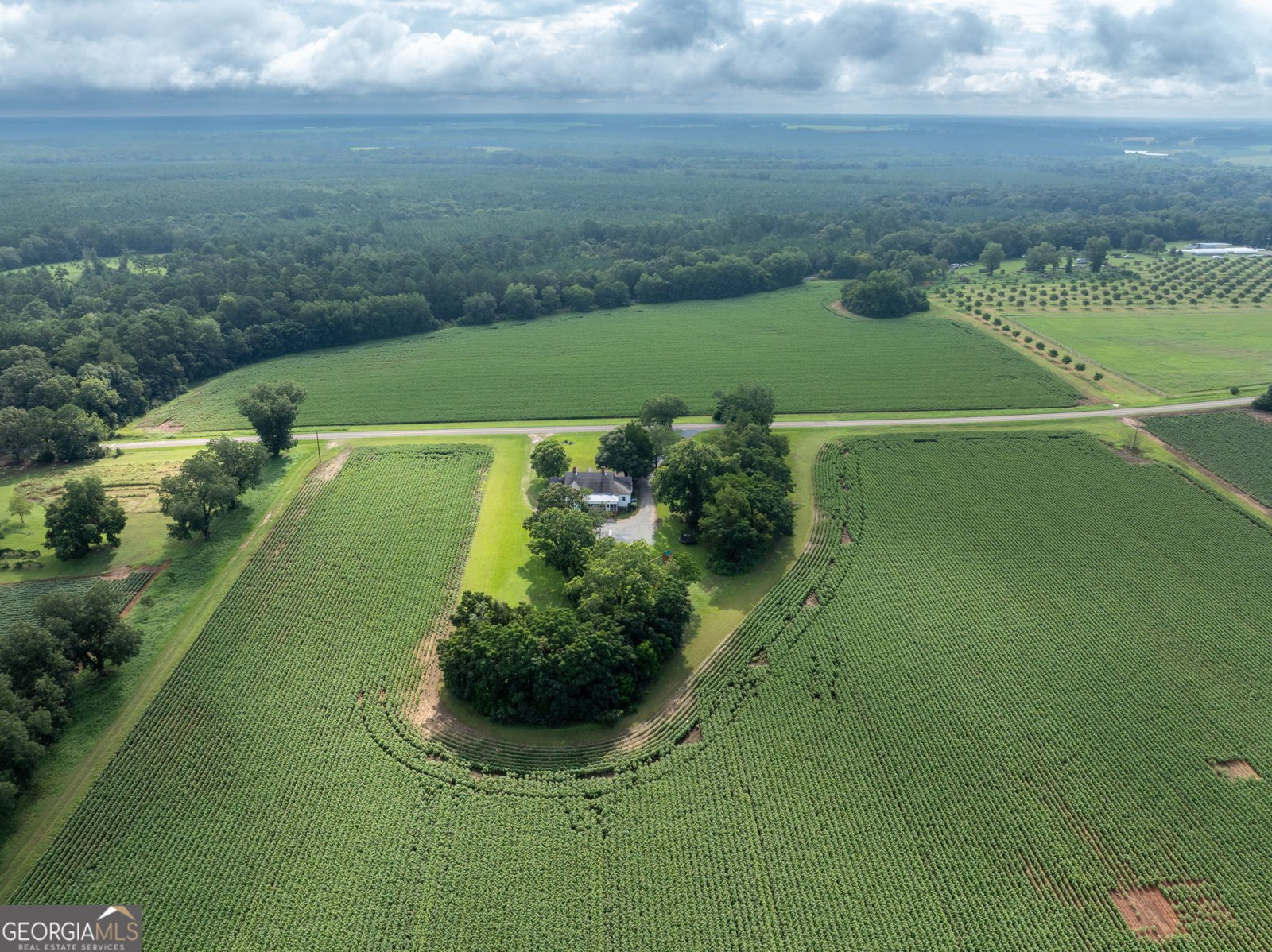 7890 Poplar Springs Road Byromville - 44