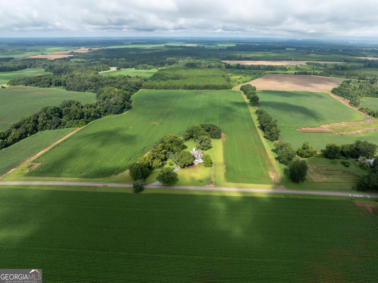 7890 Poplar Springs Road Byromville - 50