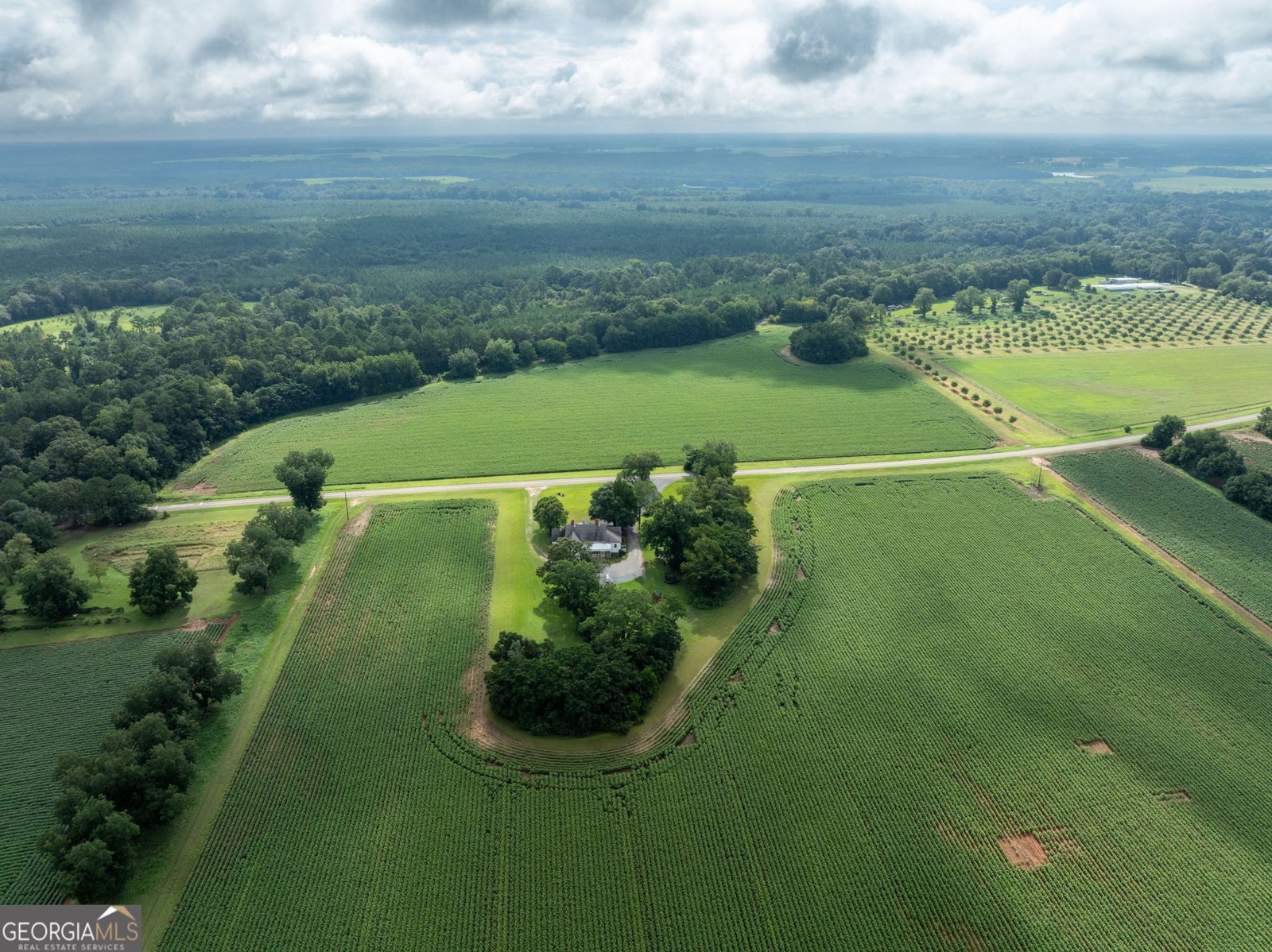 7890 Poplar Springs Road Byromville - 55