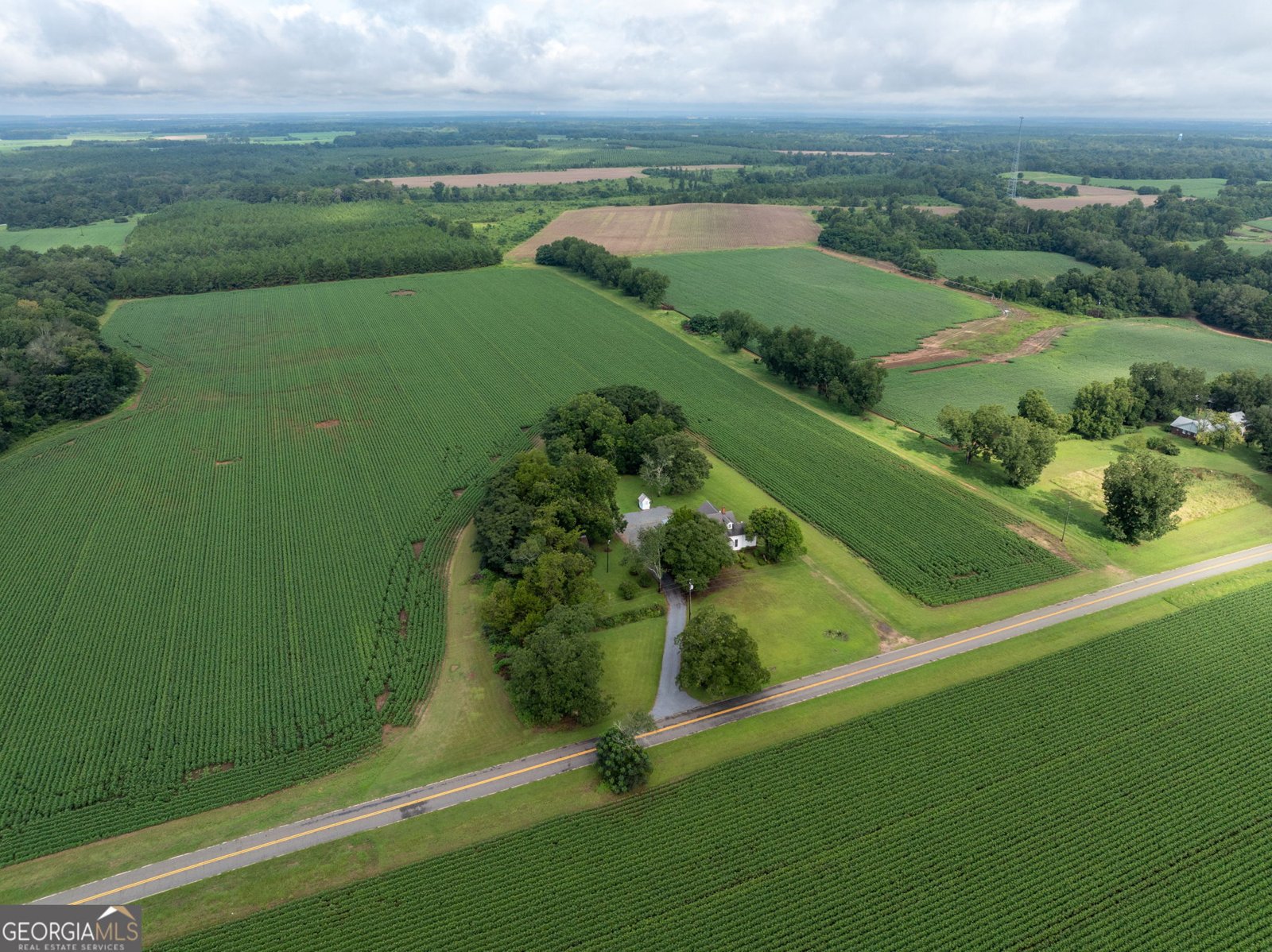 7890 Poplar Springs Road Byromville - 60