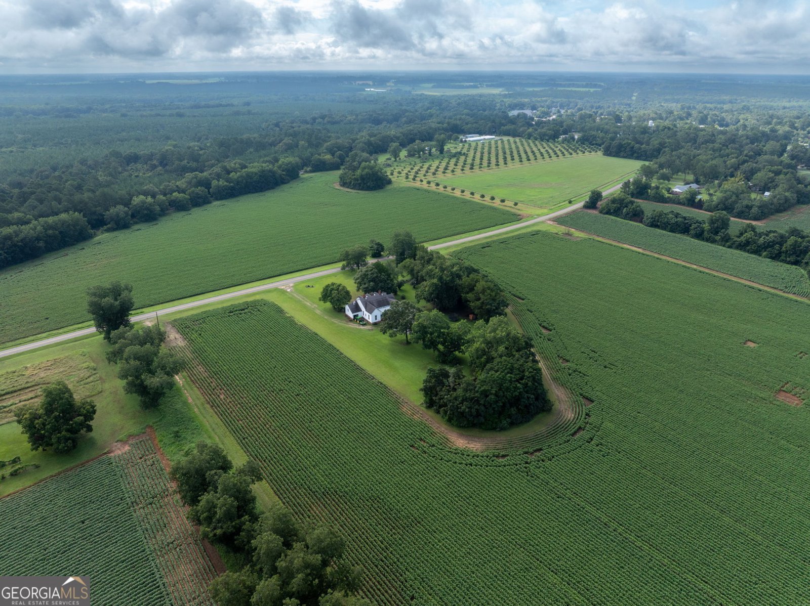 7890 Poplar Springs Road Byromville - 65
