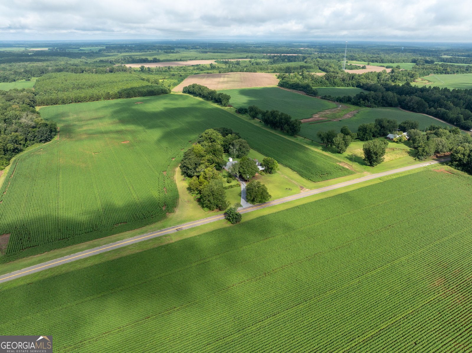 7890 Poplar Springs Road Byromville - 68