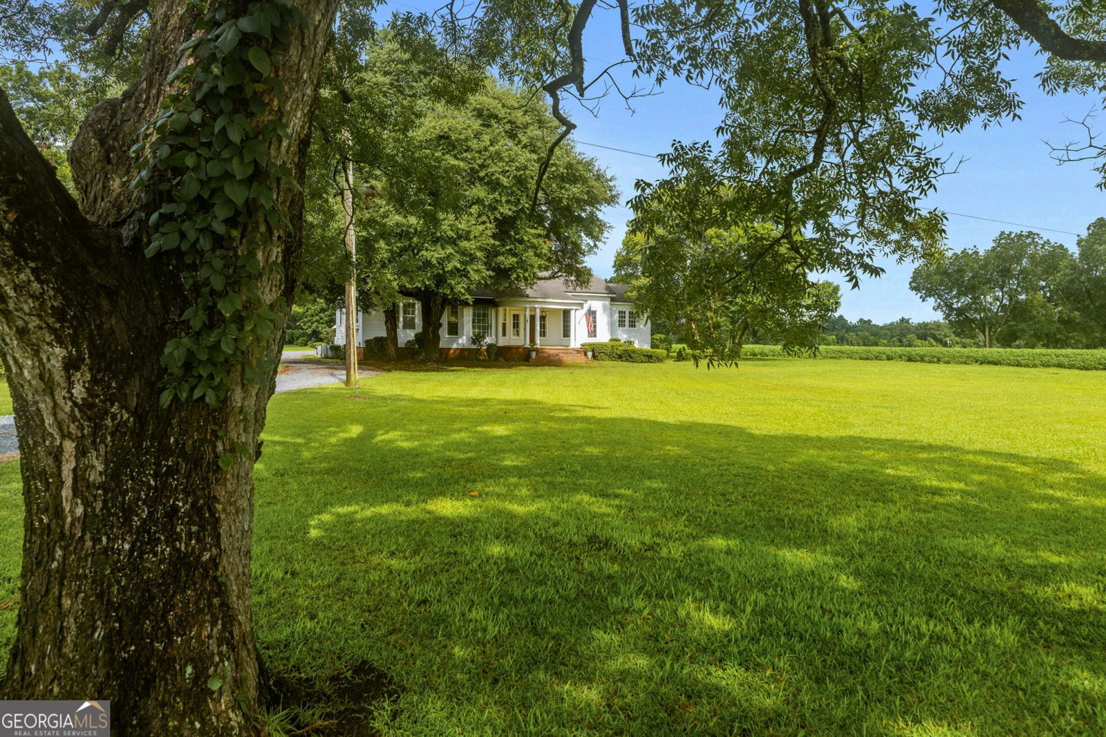 7890 Poplar Springs Road Byromville - 7