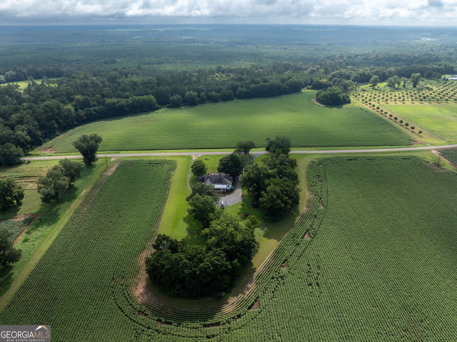 7890 Poplar Springs Road Byromville - 70