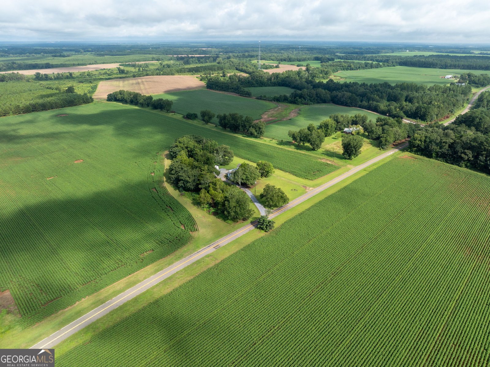 7890 Poplar Springs Road Byromville - 74