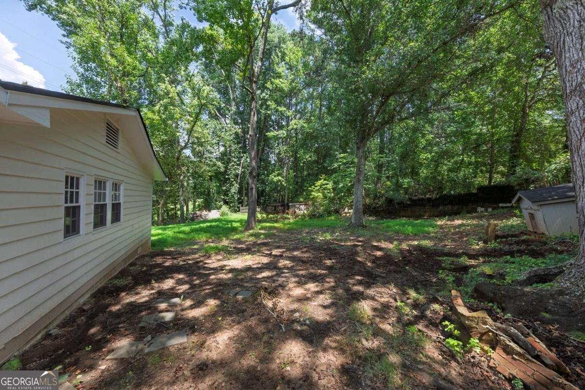 3480 Mount Olive Road Atlanta - 31