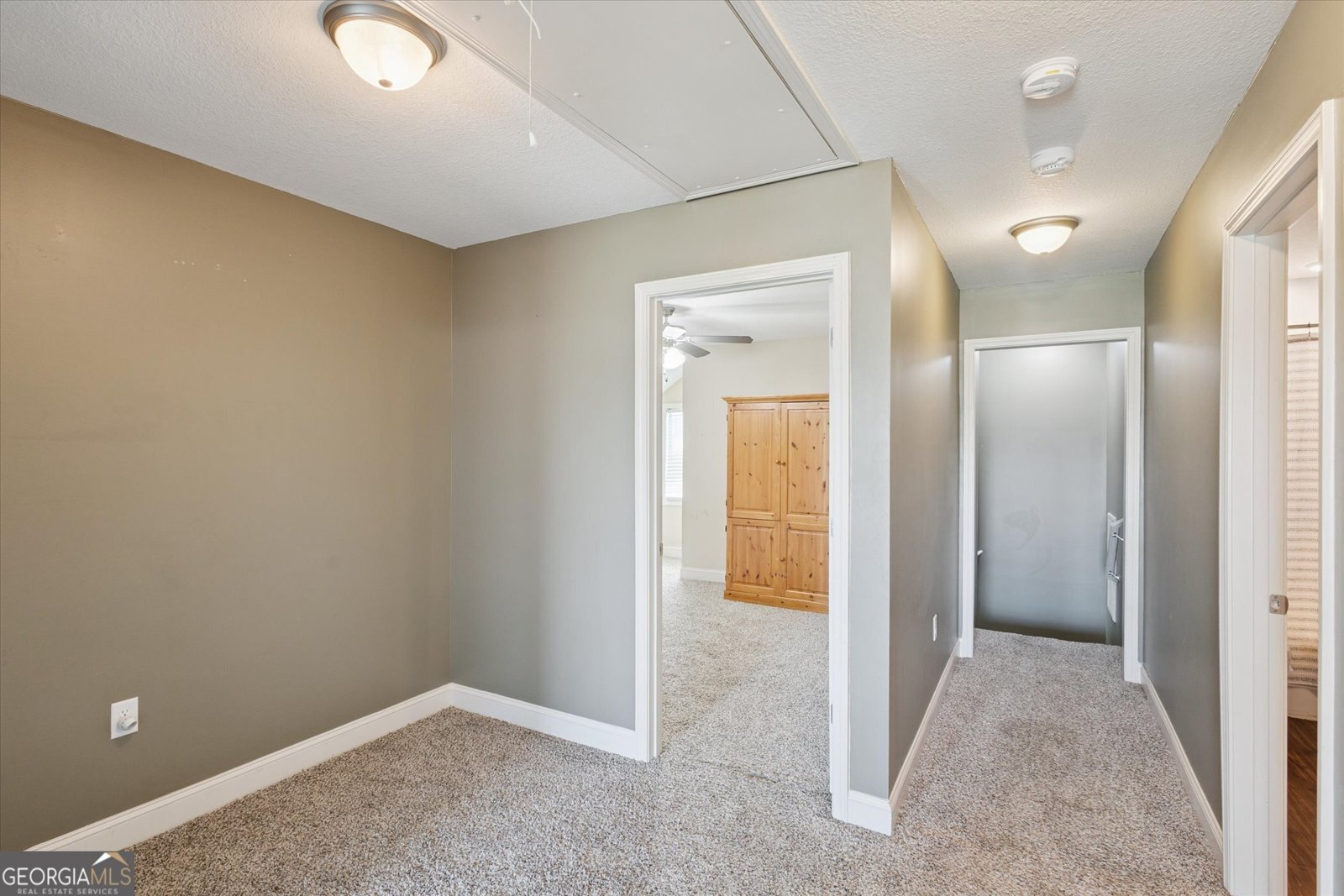507 Delta Pine Court Statesboro - 24