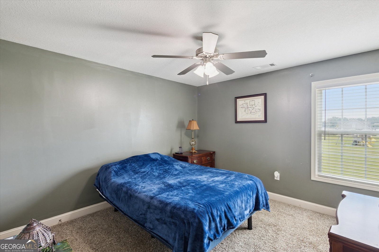 507 Delta Pine Court Statesboro - 29