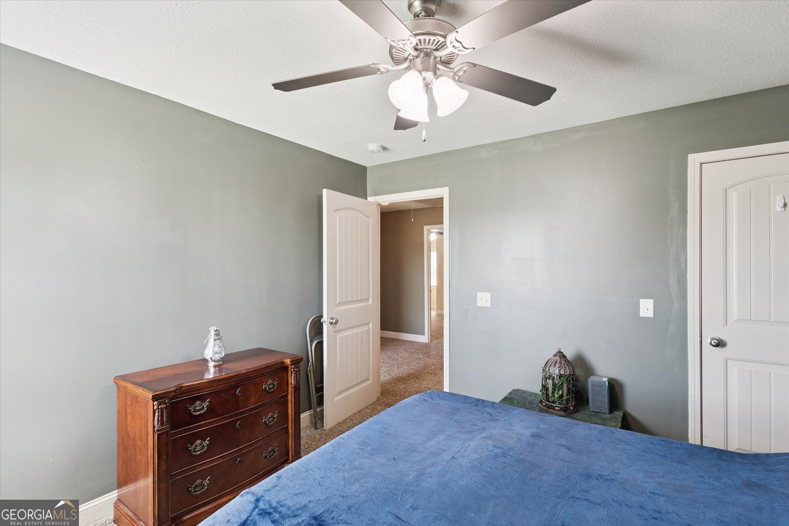 507 Delta Pine Court Statesboro - 30
