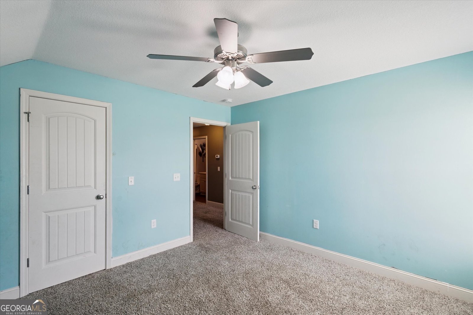 507 Delta Pine Court Statesboro - 32