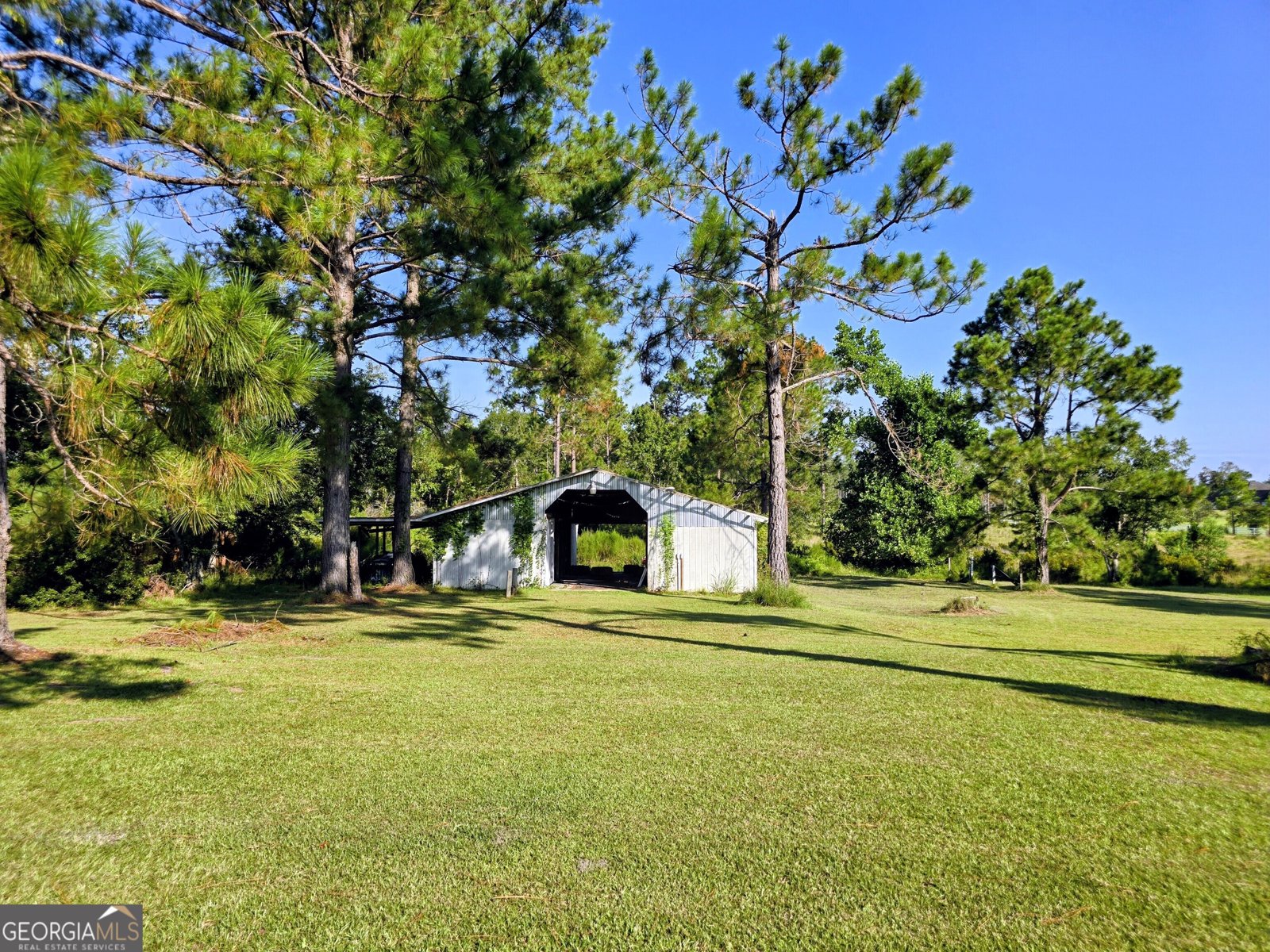 11 Holy Hill Road Hazlehurst - 5