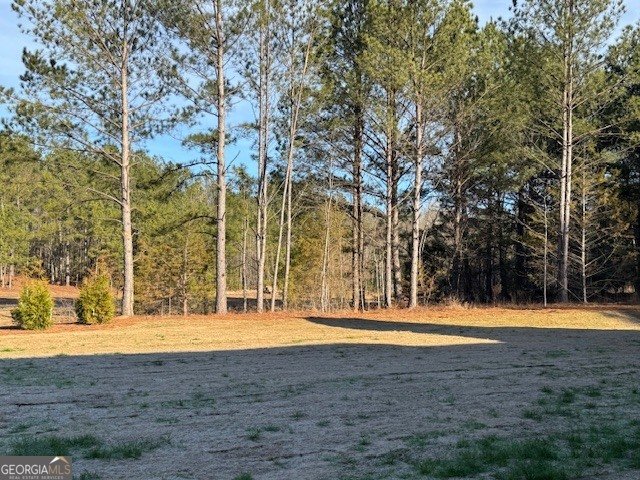 172 Iroquois Court Covington - Photo 8