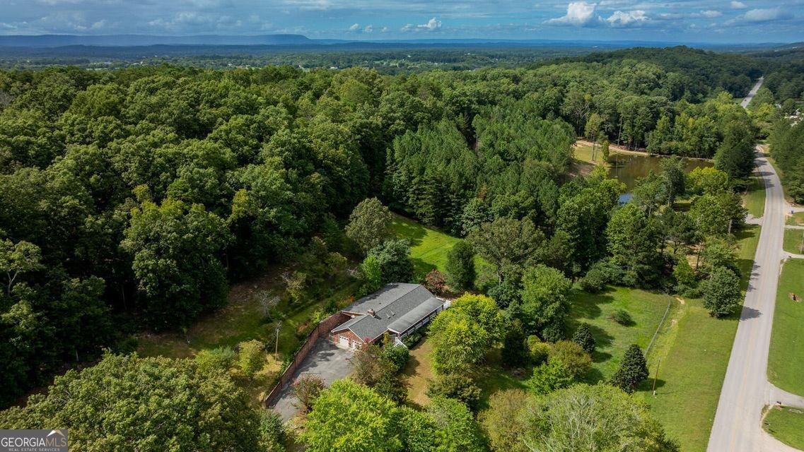 788 Long Hollow Road Rock Spring - 43