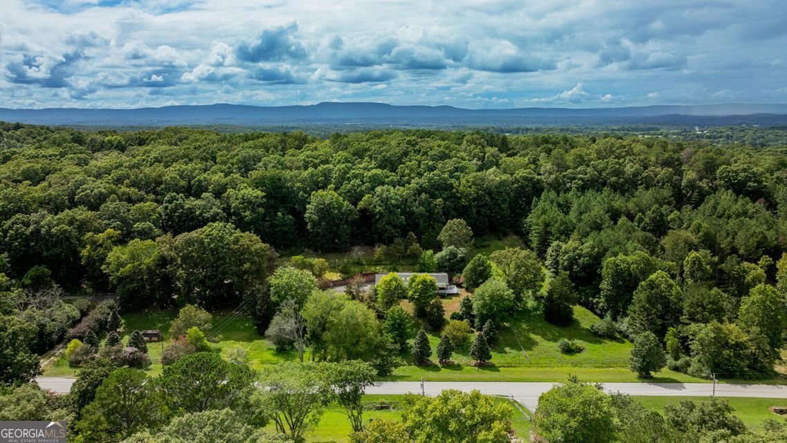 788 Long Hollow Road Rock Spring - 44