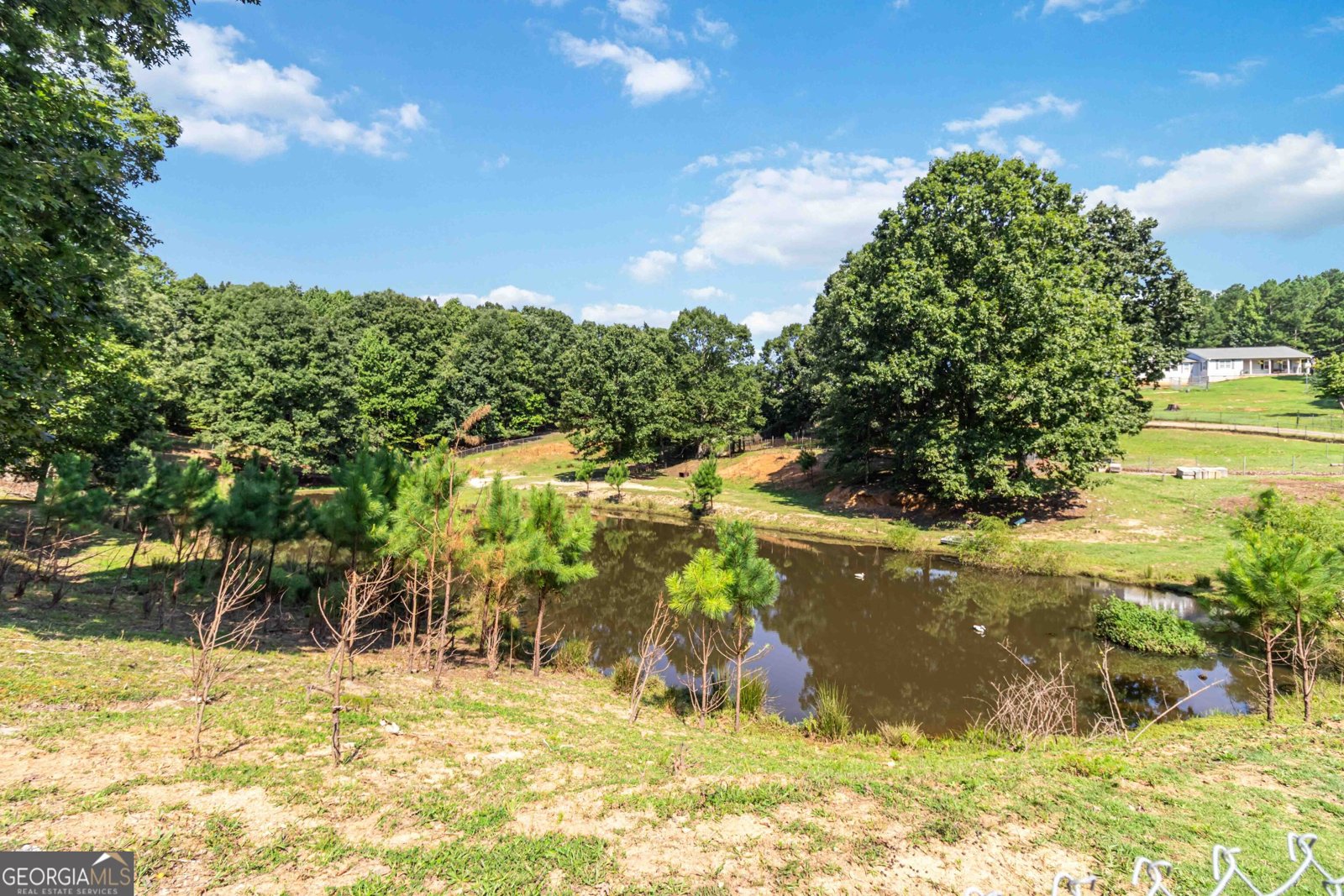 5275 Ozora Church Road Loganville - 4