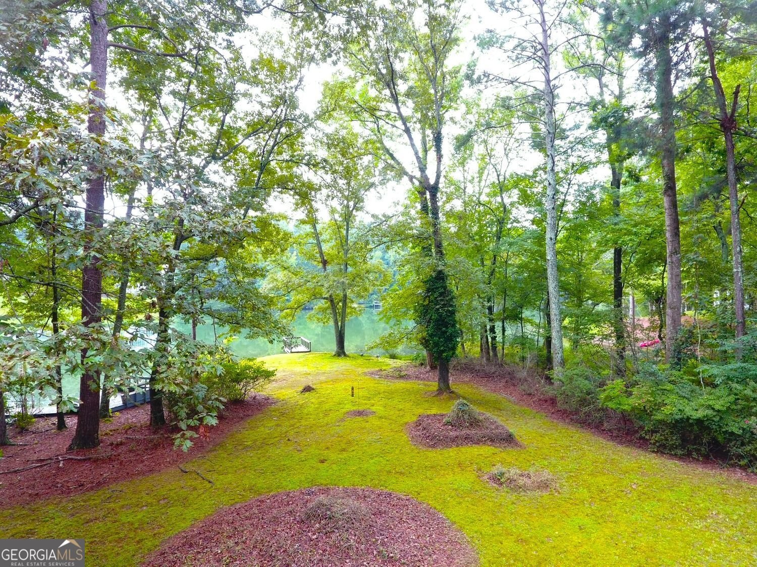 7156 Tara Drive Drive Villa Rica - 10