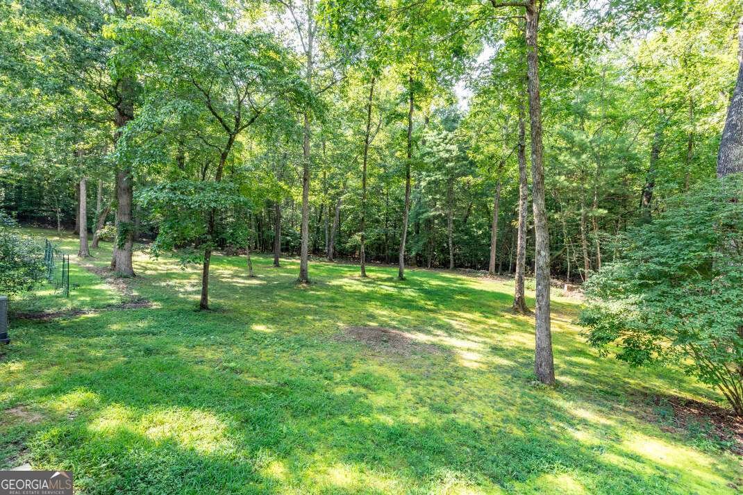 6109 Martin Heights Drive Young Harris - 24