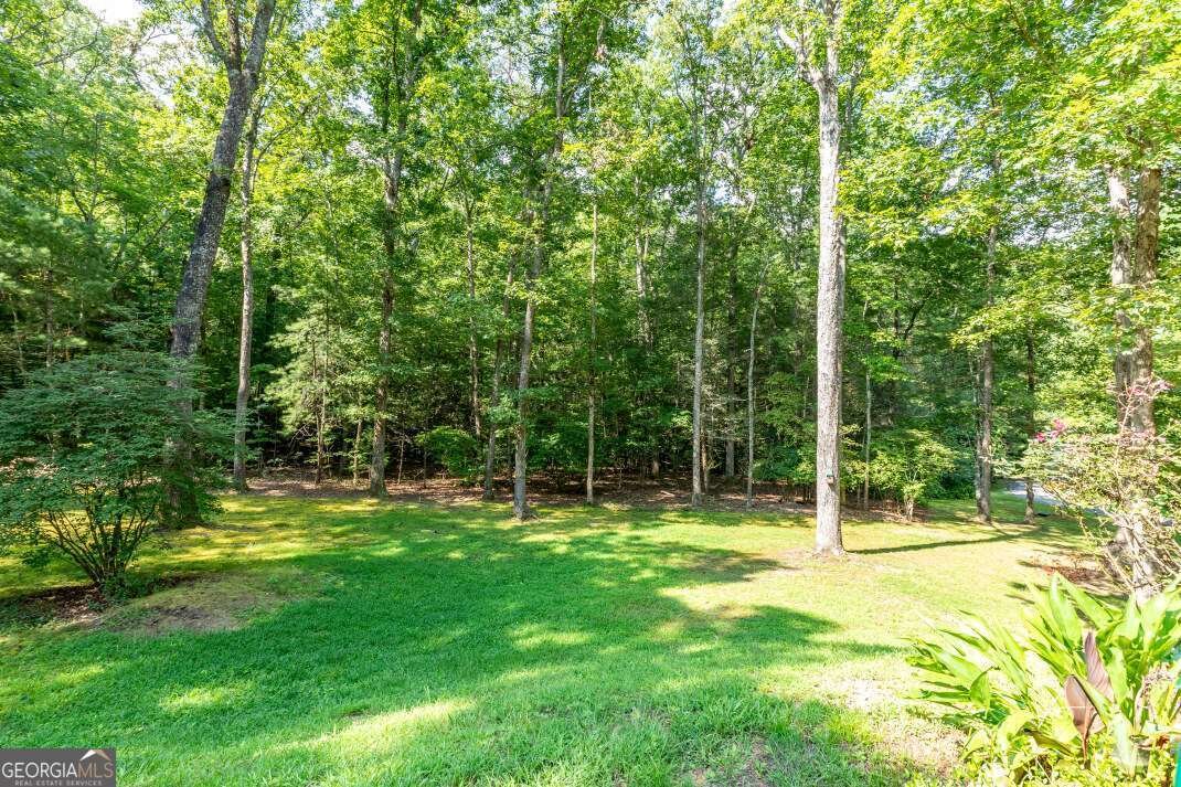 6109 Martin Heights Drive Young Harris - 25