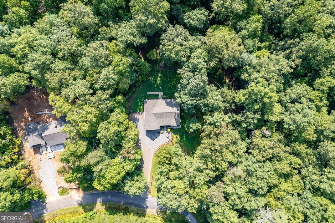 6109 Martin Heights Drive Young Harris - 30