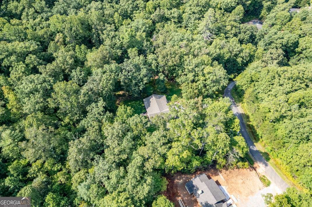 6109 Martin Heights Drive Young Harris - 32
