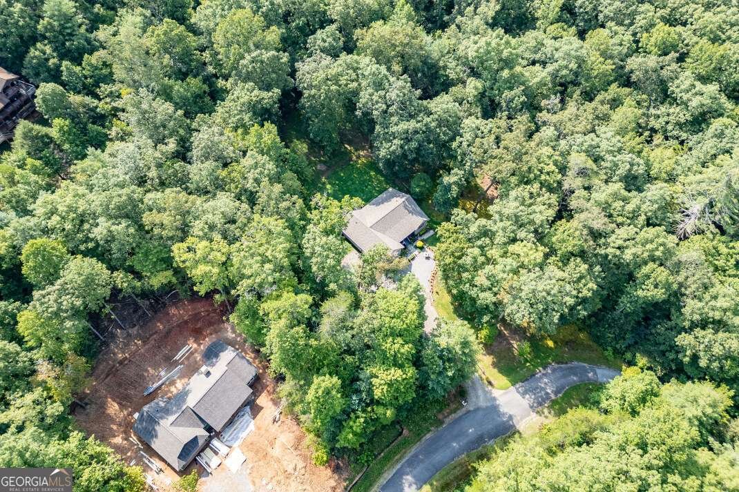 6109 Martin Heights Drive Young Harris - 33