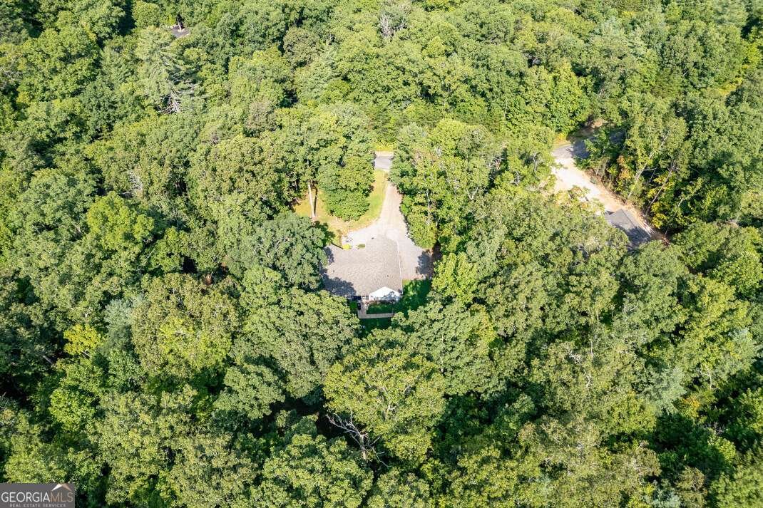 6109 Martin Heights Drive Young Harris - 34