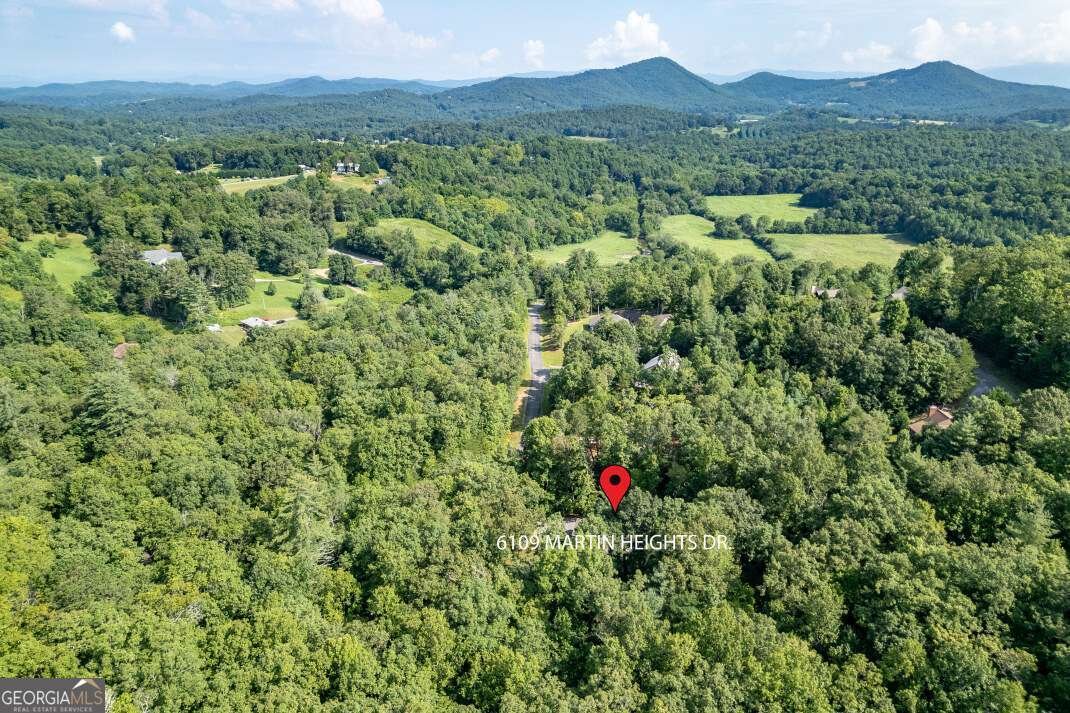 6109 Martin Heights Drive Young Harris - 35