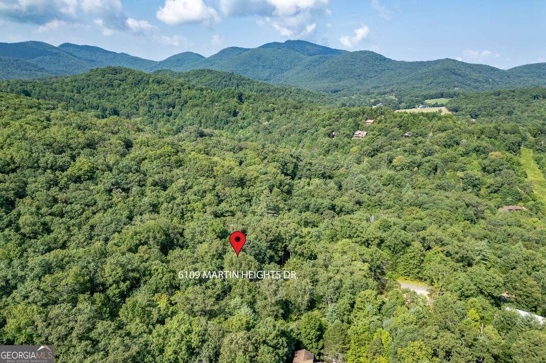 6109 Martin Heights Drive Young Harris - 36