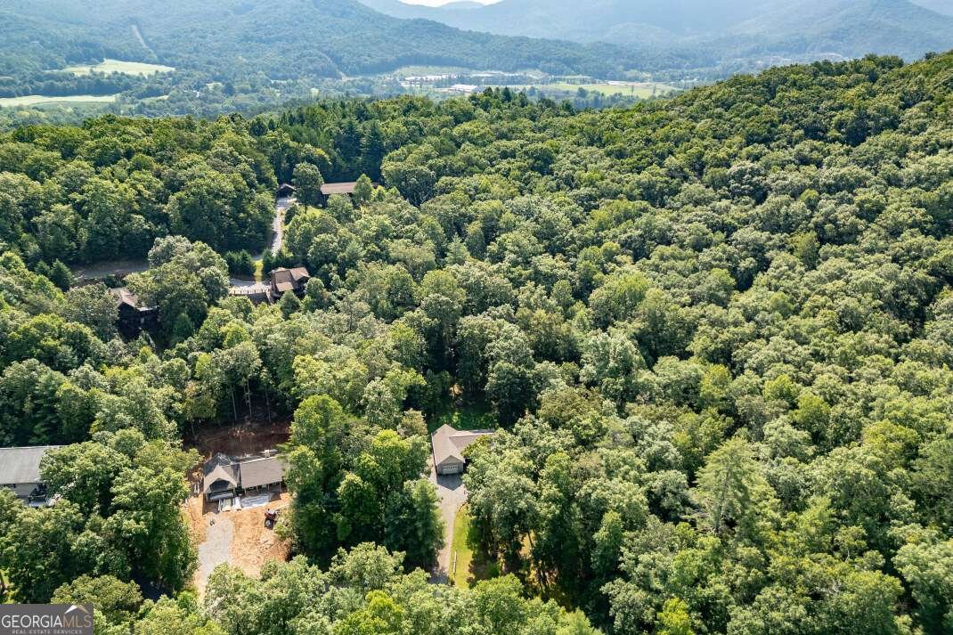 6109 Martin Heights Drive Young Harris - 37
