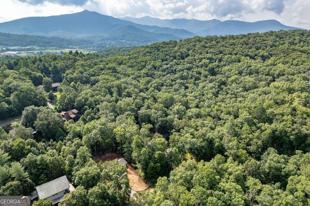 6109 Martin Heights Drive Young Harris - 39
