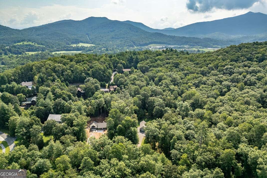 6109 Martin Heights Drive Young Harris - 40