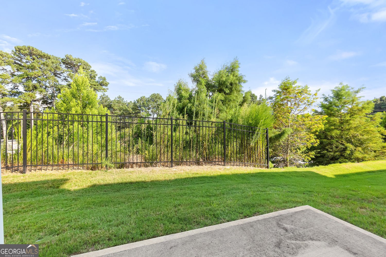 325 Braswell Court Woodstock - 12