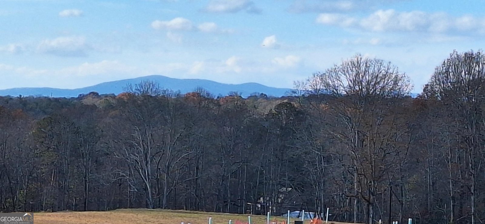 76 Trace Bluff Dawsonville - 36