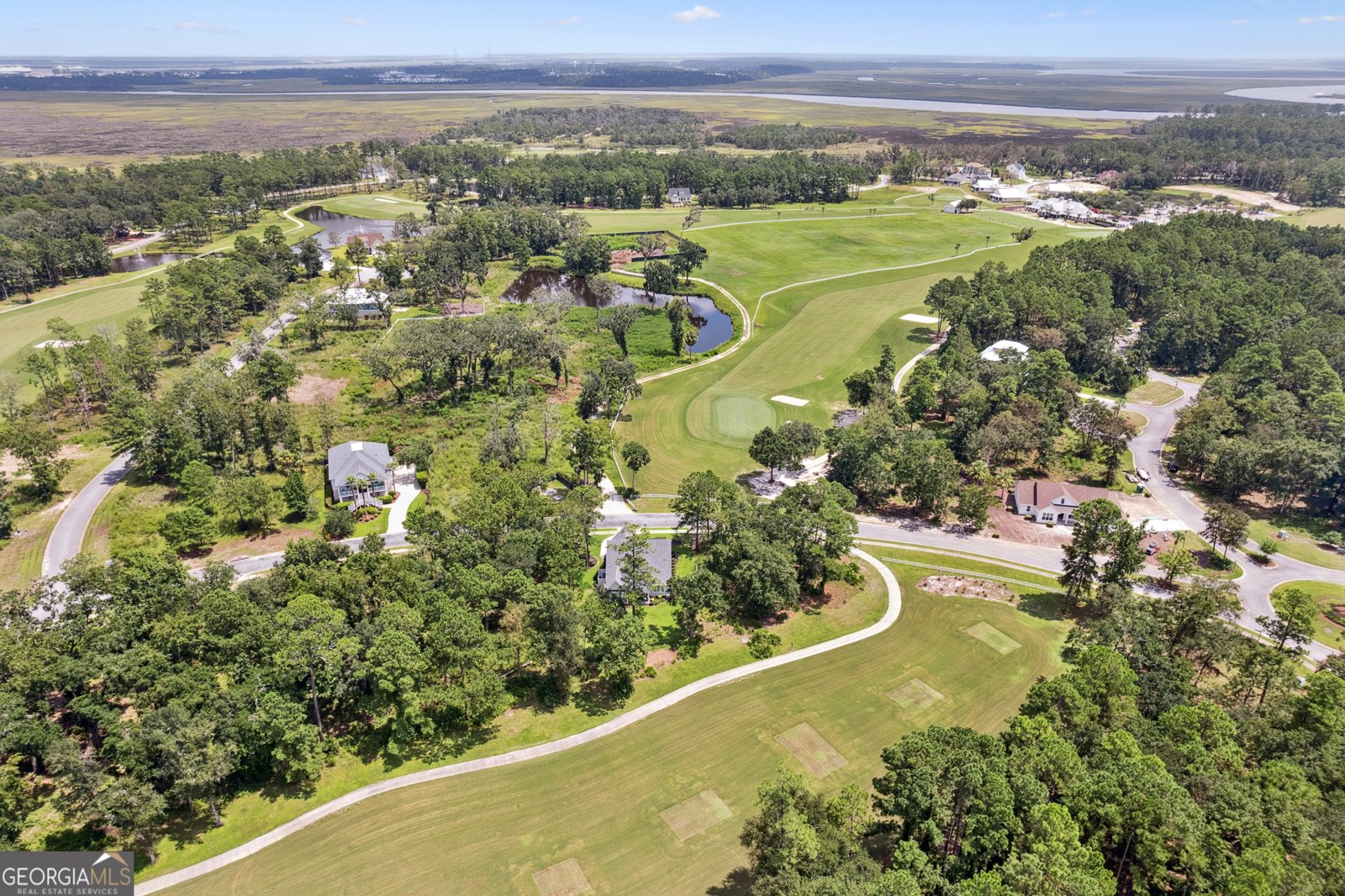 561 Audubon Wynd Waverly - 43