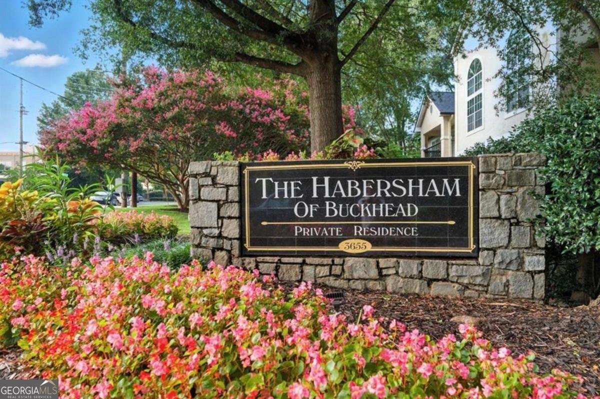 3655 Habersham Road Atlanta - 2