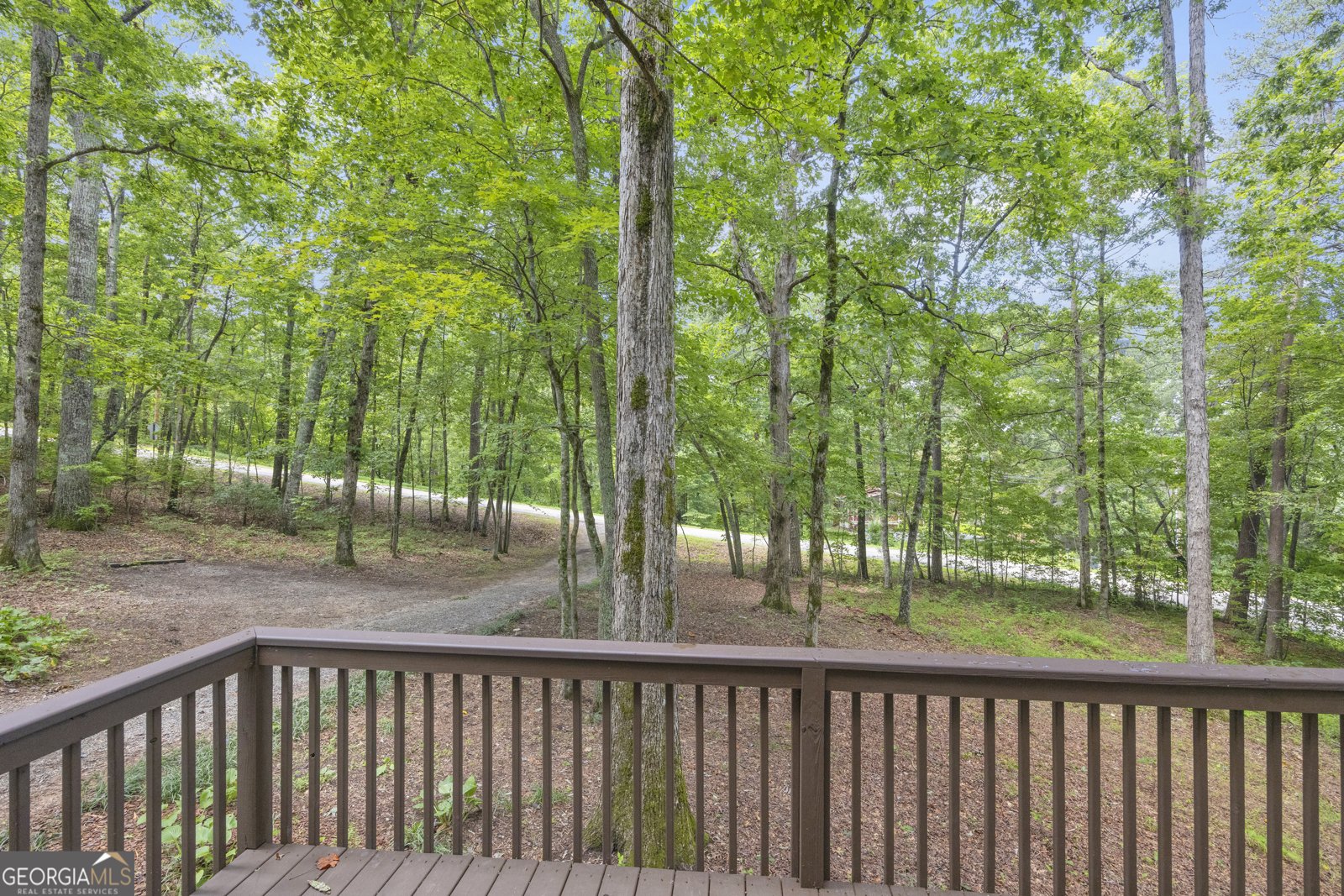 560 Wildwood Acres Road Cleveland - 6