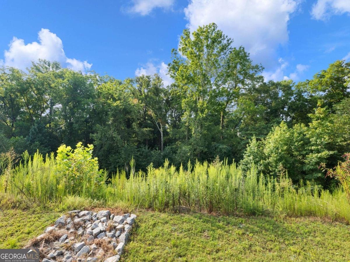 5876 HACKBERRY Lane Braselton - 41