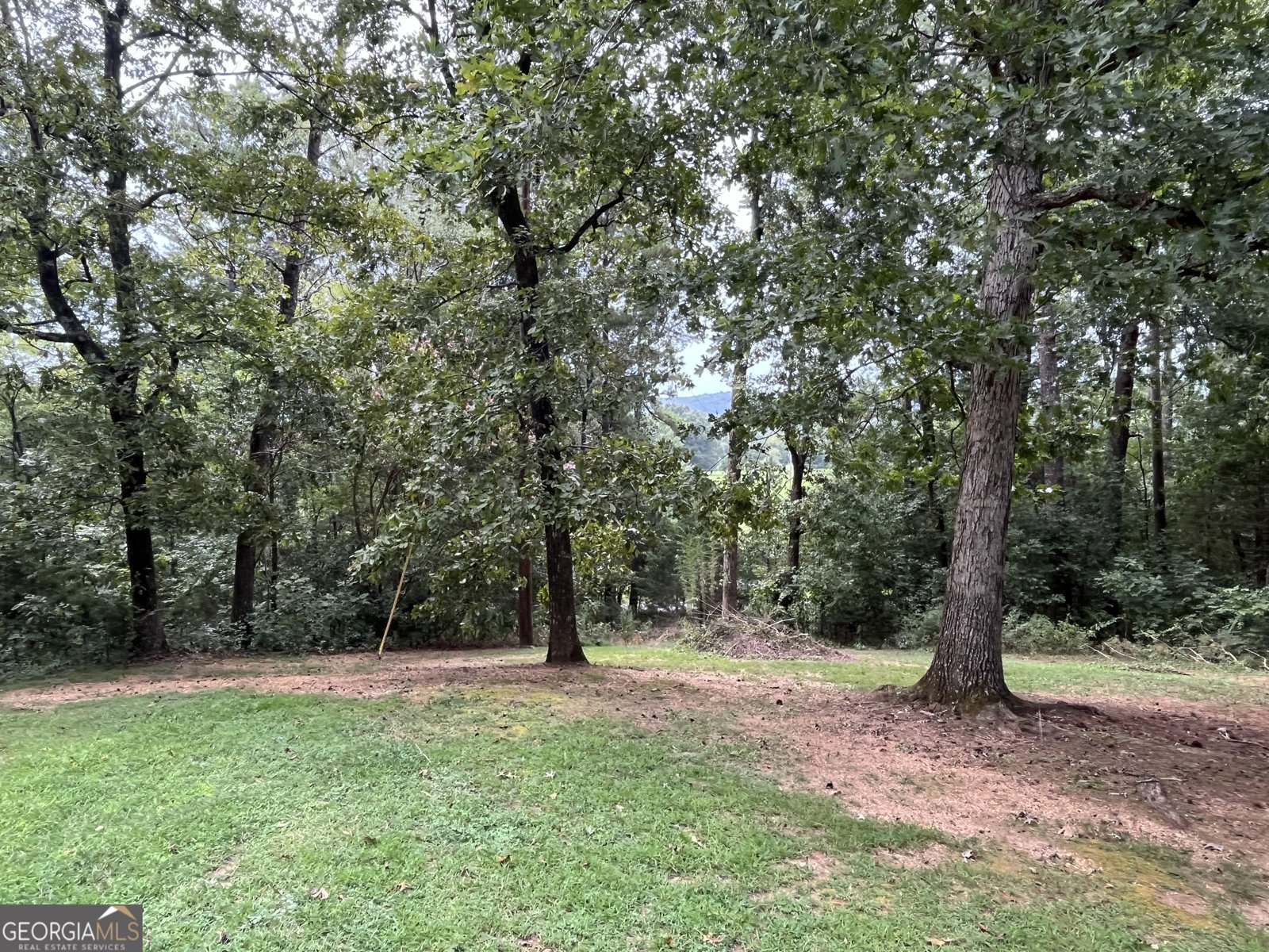 1225 Rush Chapel Road Adairsville - 16
