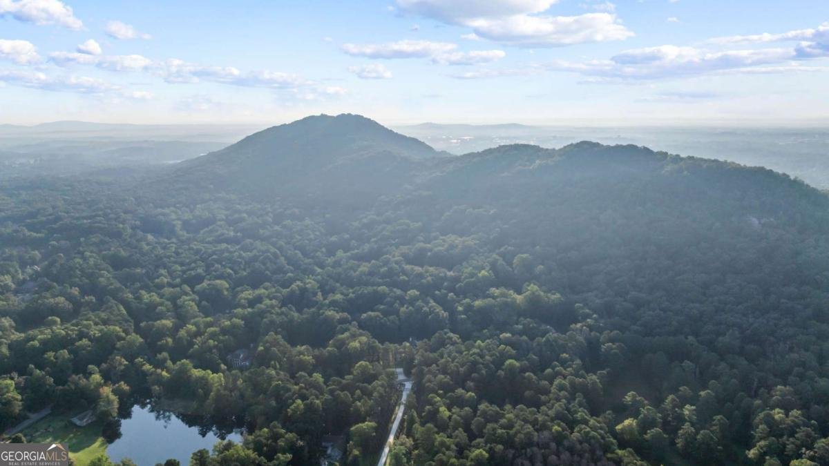 932 Old Mountain Road Marietta - 58