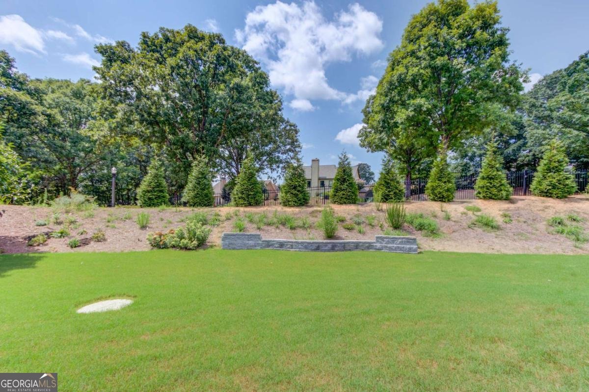 7449 Fireside Lane Flowery Branch - 29