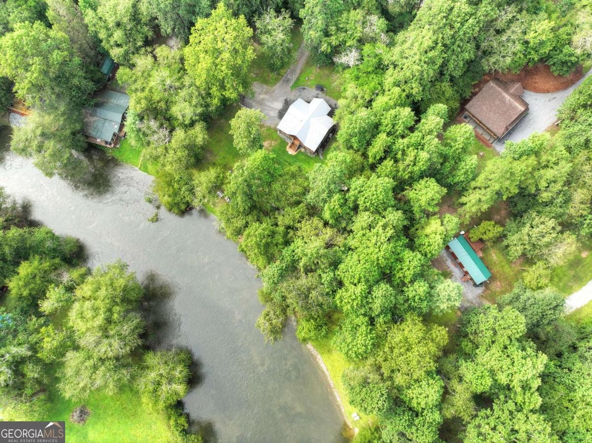 125 Blackberry Drive Mineral Bluff - 42